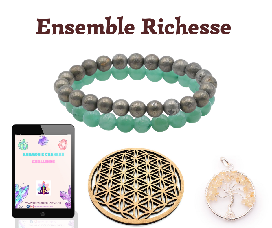 Ensemble richesse & abondance