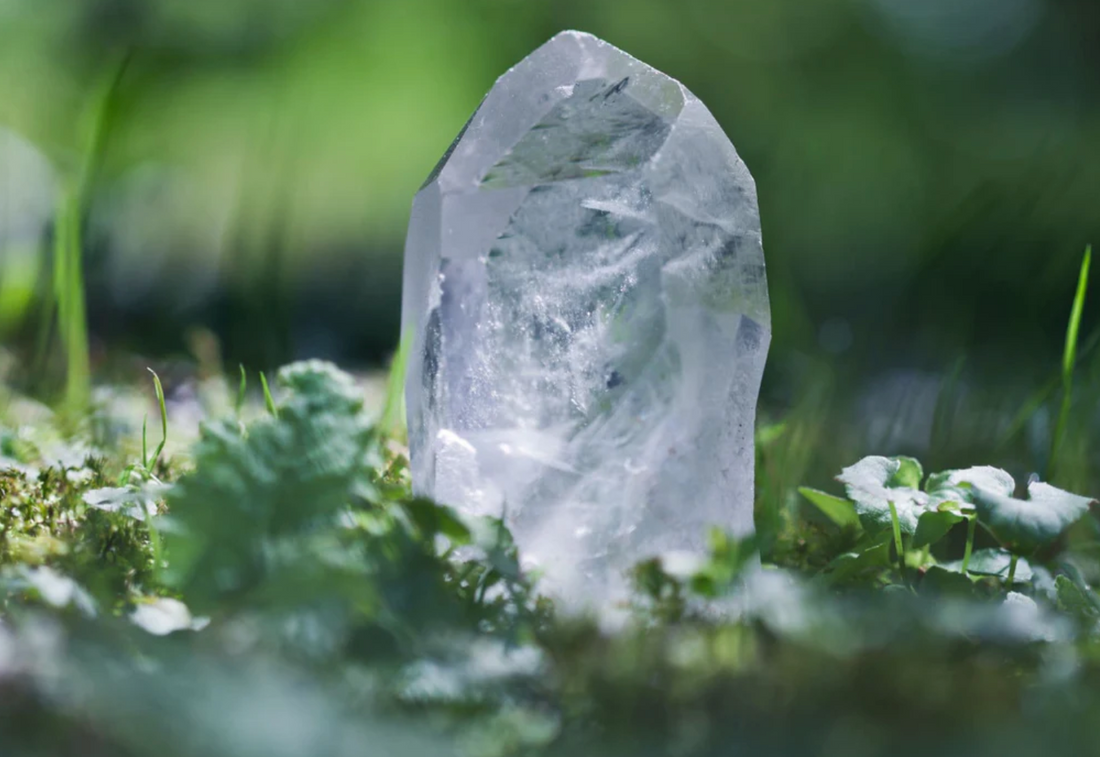 Le top 5 des cristaux énergisants pour raviver vos plantes